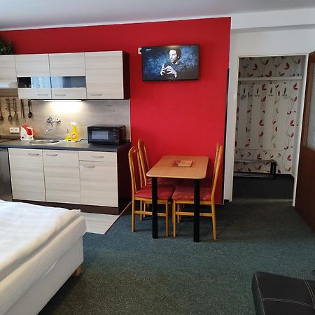 Pension Pugner Vysoké nad Jizerou Extérieur photo