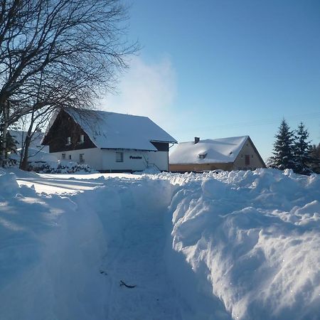 Pension Pugner Vysoké nad Jizerou Extérieur photo