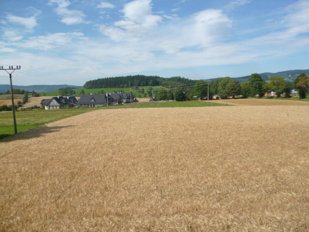 Pension Pugner Vysoké nad Jizerou Extérieur photo
