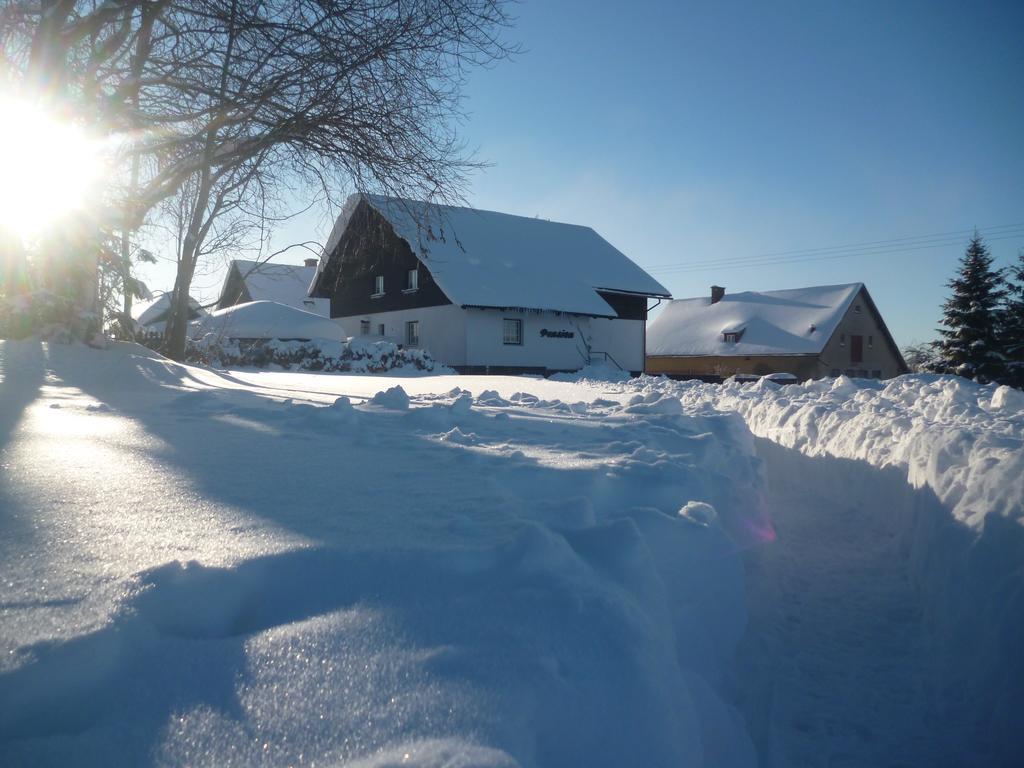 Pension Pugner Vysoké nad Jizerou Extérieur photo