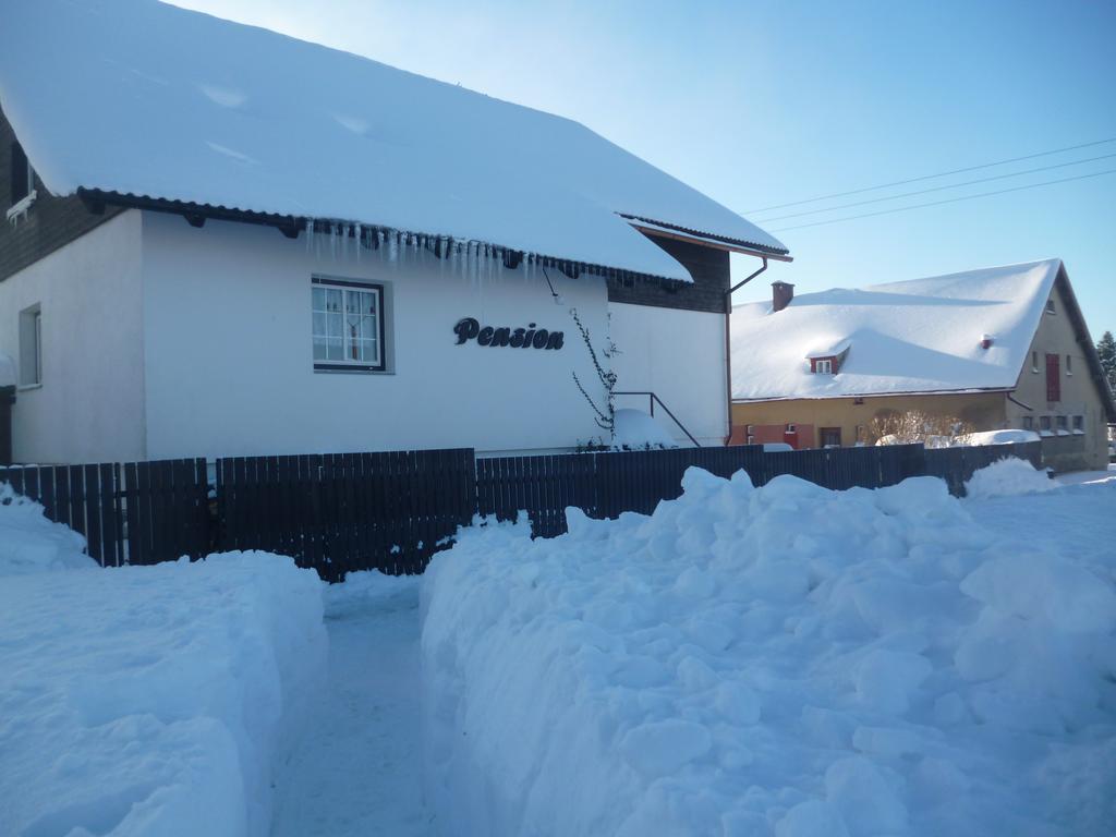 Pension Pugner Vysoké nad Jizerou Extérieur photo