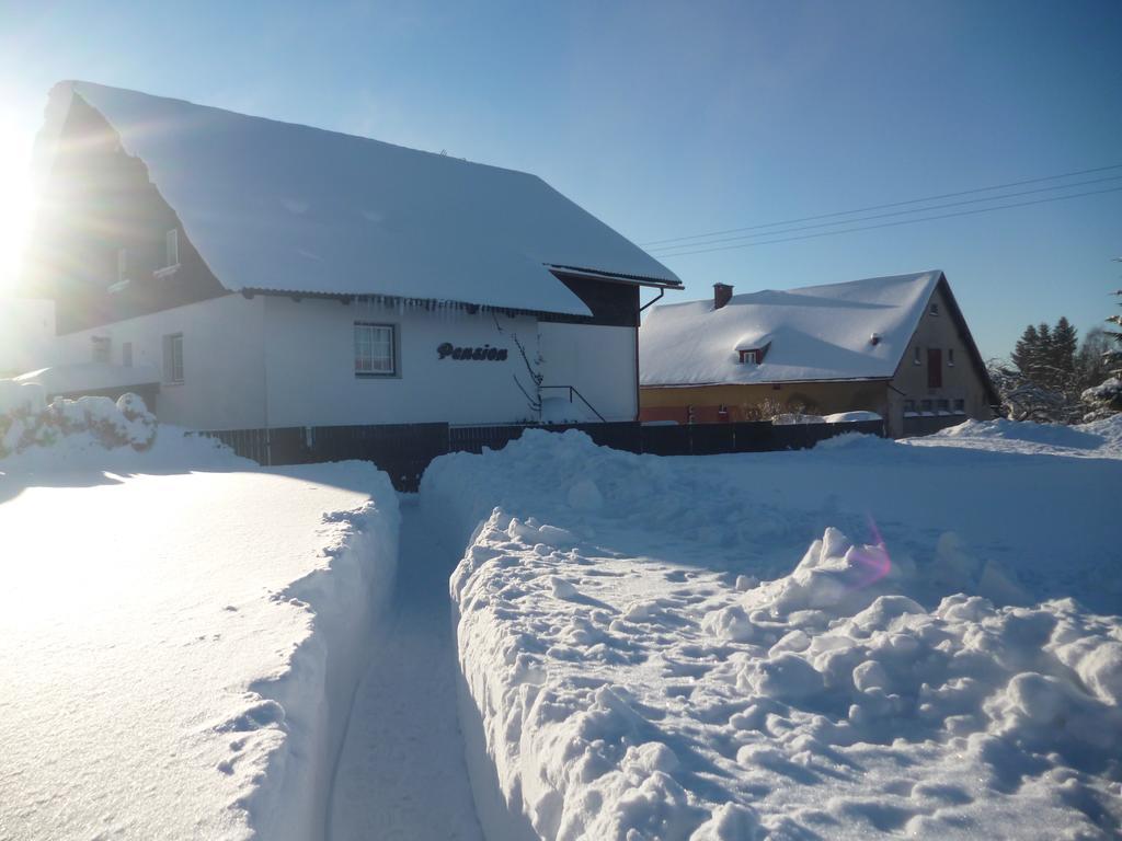 Pension Pugner Vysoké nad Jizerou Extérieur photo