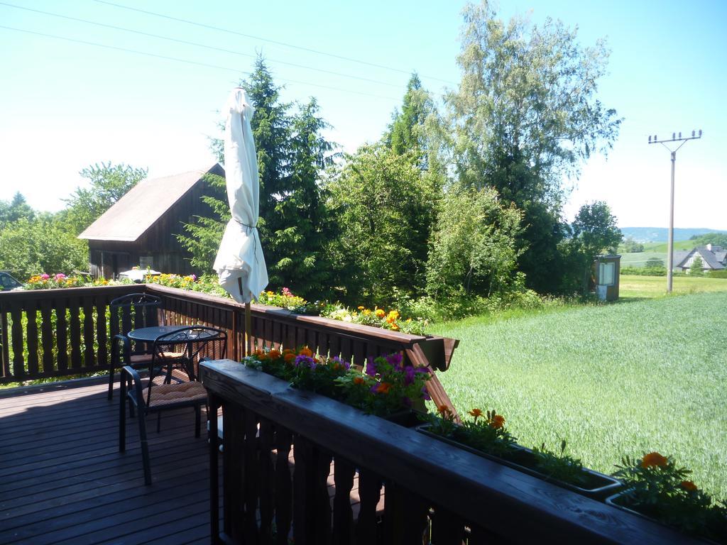 Pension Pugner Vysoké nad Jizerou Extérieur photo