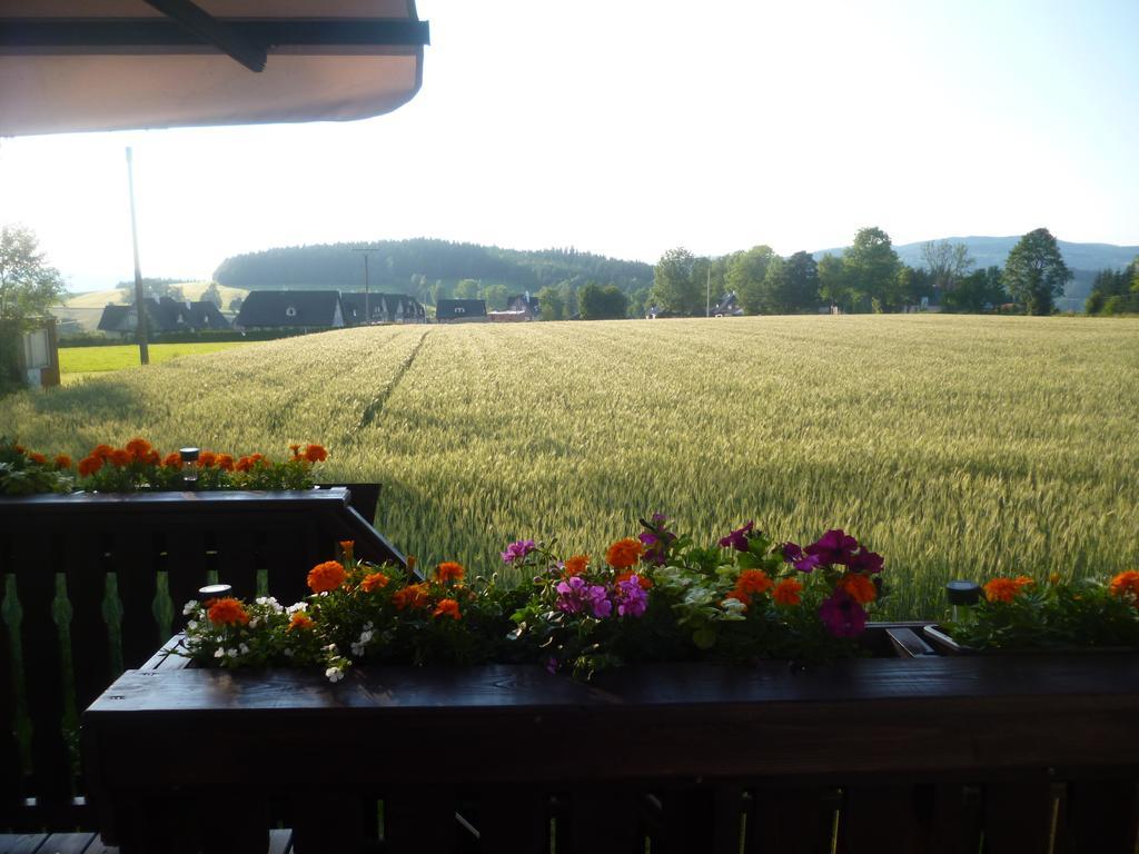 Pension Pugner Vysoké nad Jizerou Extérieur photo