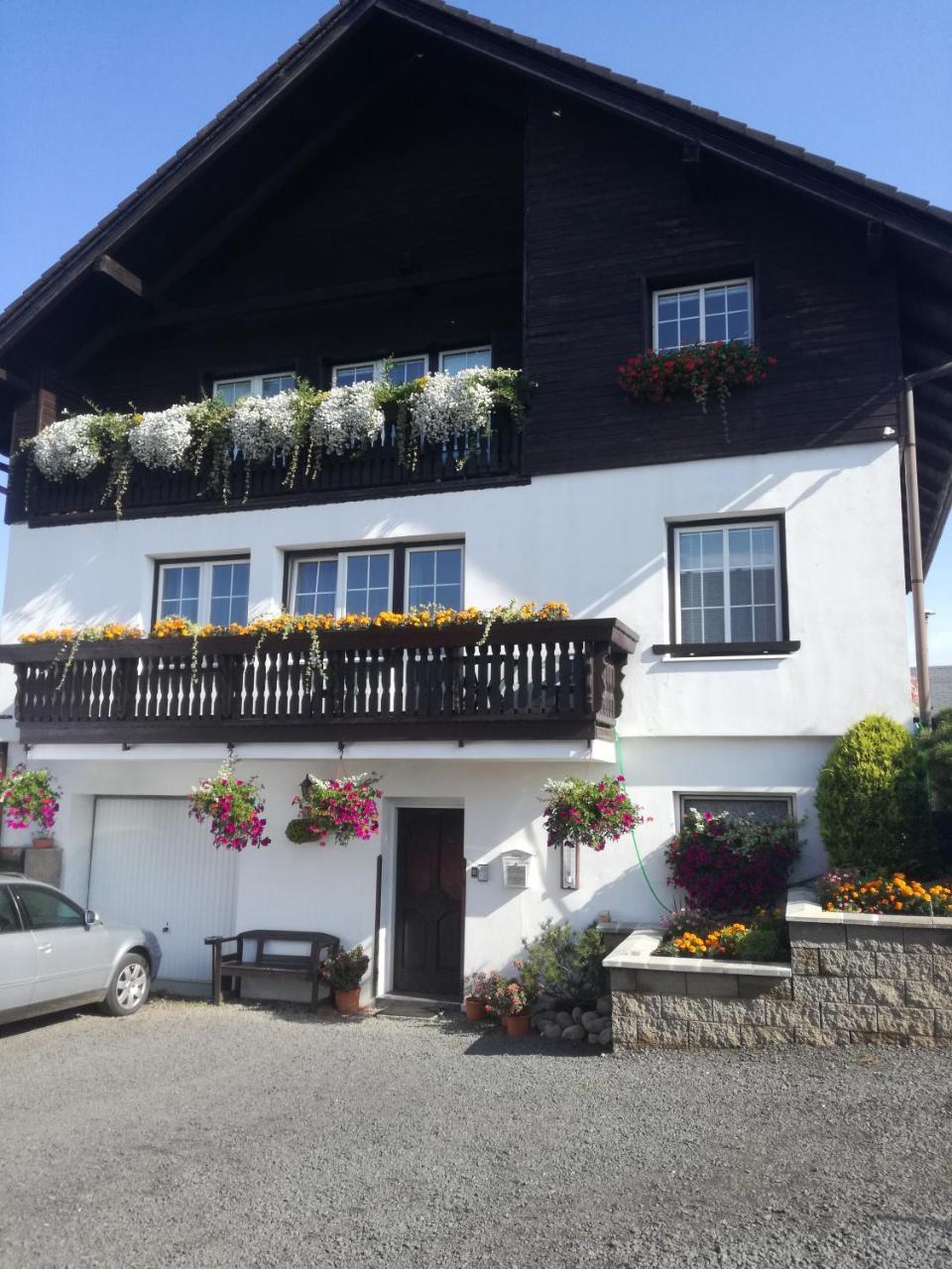 Pension Pugner Vysoké nad Jizerou Extérieur photo